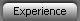Experience