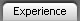 Experience
